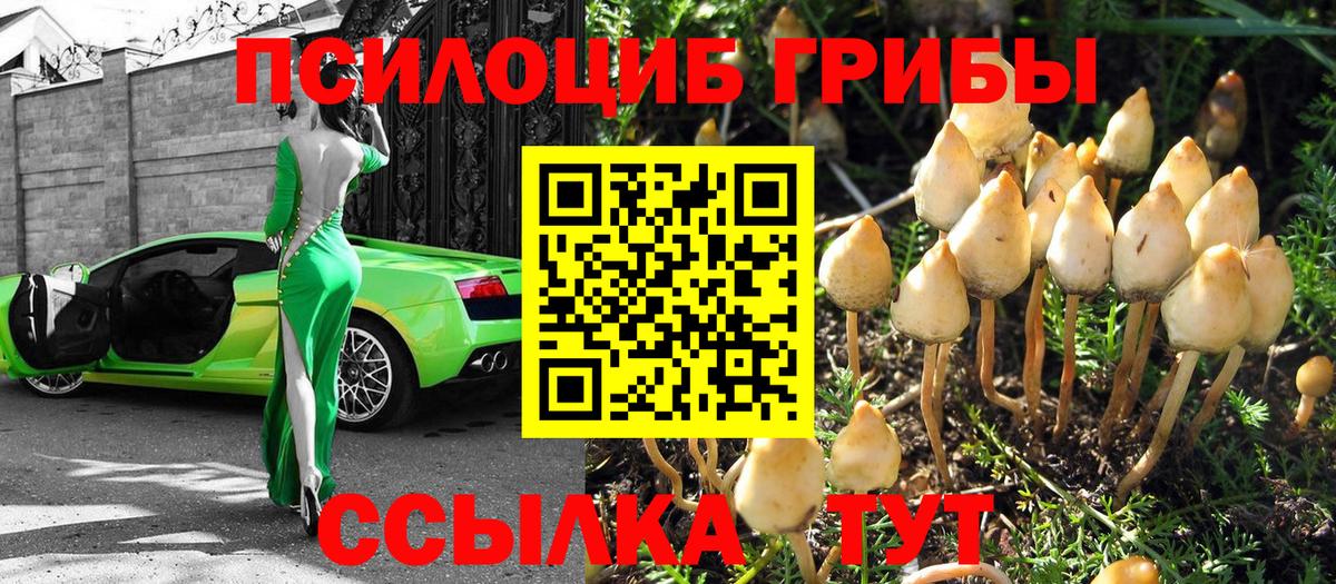 Галлюциногенные грибы мицелий  Вход с VPN  Узловая 